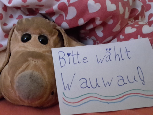 Präsidentschafts-Kandidat Wauwau